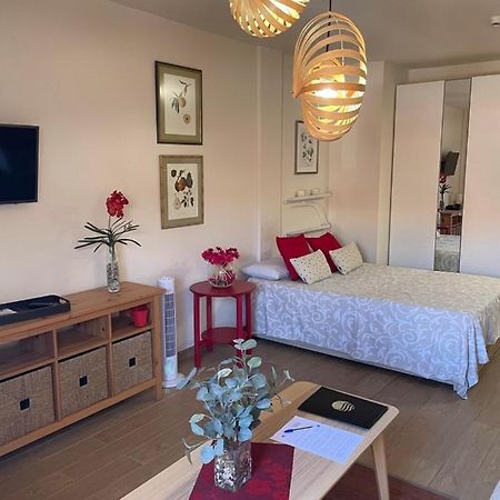 Apartamento Acogedor Y Centrico - Plaza Del Charco Puerto de la Cruz  Dış mekan fotoğraf